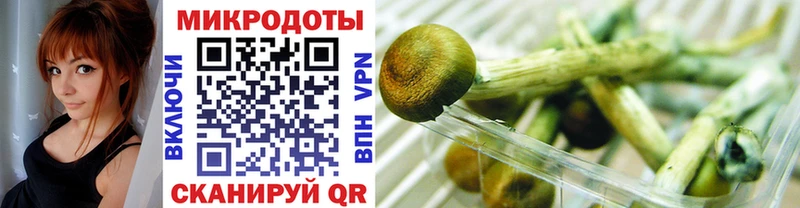 Псилоцибиновые грибы ЛСД  где найти наркотики  Шацк 