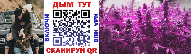 omg зеркало Шацк Каннабис VHQ закладки